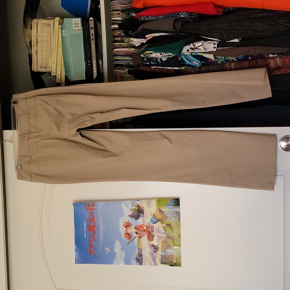 Tan Striped New York & Company Slacks - Picture 7 of 8